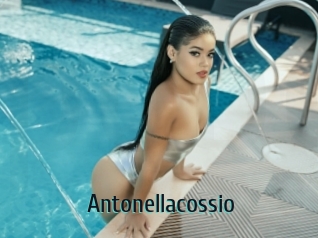 Antonellacossio