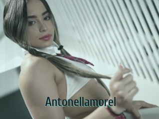 Antonellamorel