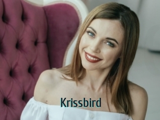 Krissbird